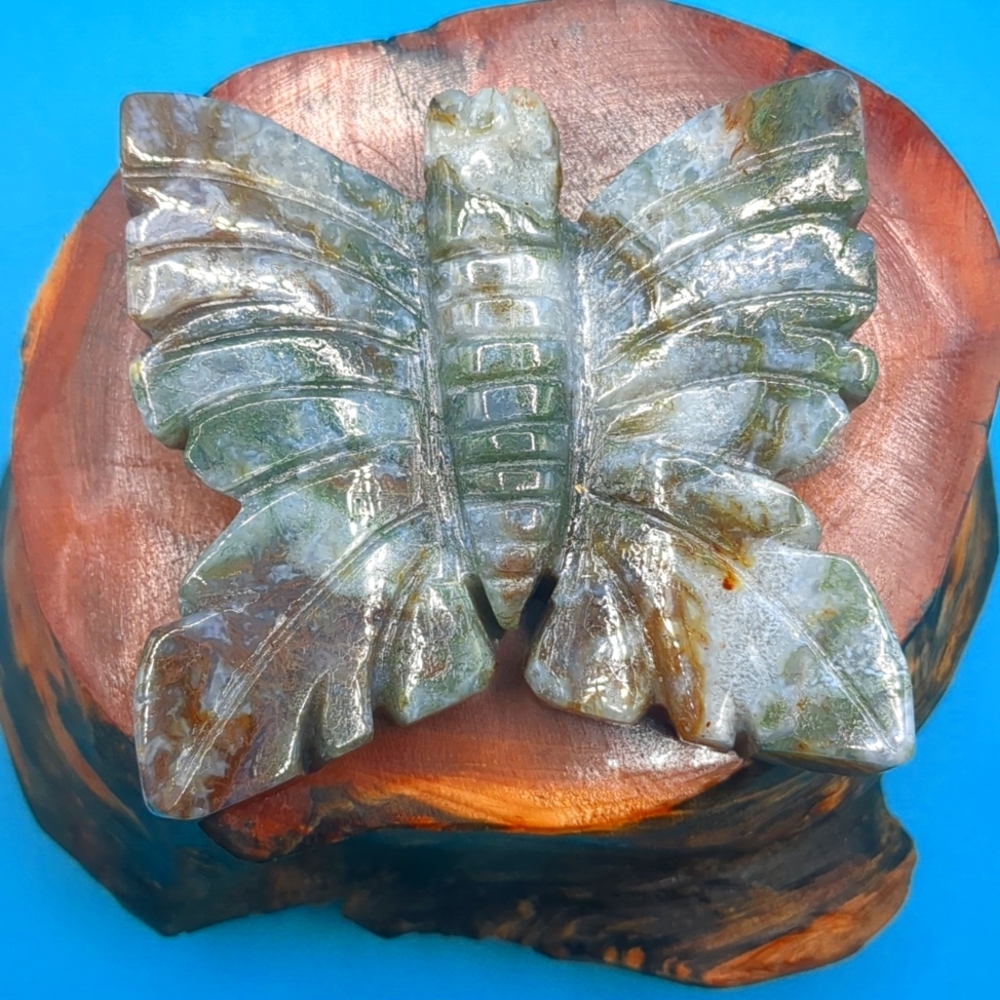 Stunning colourful Moss Agate moth carving